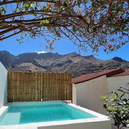 Casa Mimosa With Private Pool & Garden Villa Agaete  Exterior photo