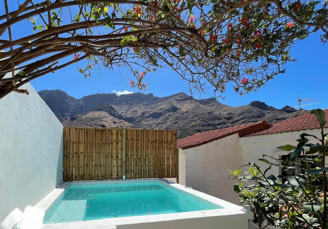 Casa Mimosa With Private Pool & Garden Villa Agaete  Exterior photo